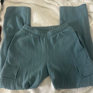 Aritzia Cozy Fleece Sweatpants in Teal